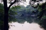 Not Turlough Park but Central Park, New York.