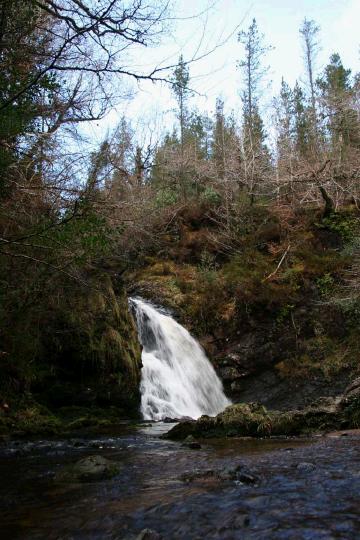 The waterfall in Tourmakeady Wood can be very spectacular in wet weather when there is a good flow in the River