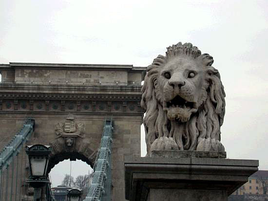 The Danube is about 500 metres wide in Budapest. Laughing lions on the Pest Side and Snarling lions on the Buda side - or perhaps it's the other way around?