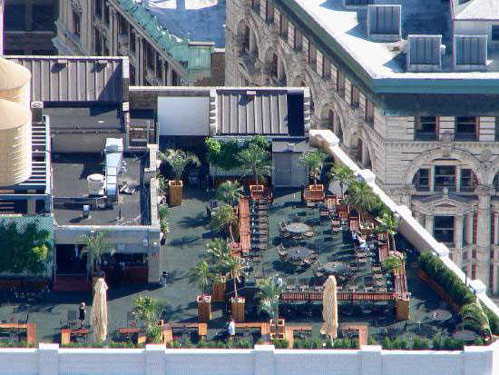 Looking down on a Roof Garden.