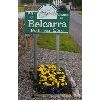 Belcarra