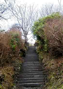 Photos updated every day from Castlebar