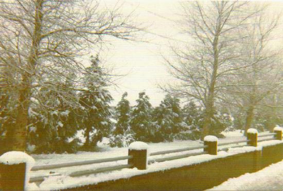 Marian Row River 1977