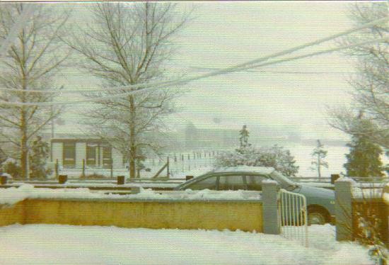 St Brigid's Crescent 1977