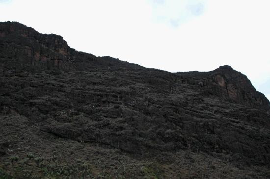Baraco Wall on Kilimanjaro.JPG