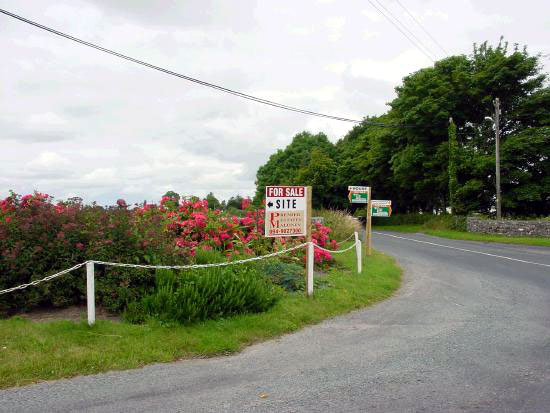 All the work on the flower beds put to naught by these illegal fly posters put up by auctioneers on every by-road in Mayo - they are above planning permission of course!