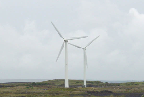 windmill-3016