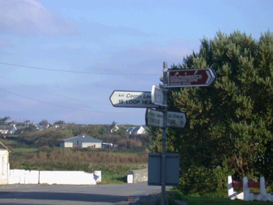Dscn0377.jpg