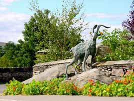 New photos every day from County Mayo