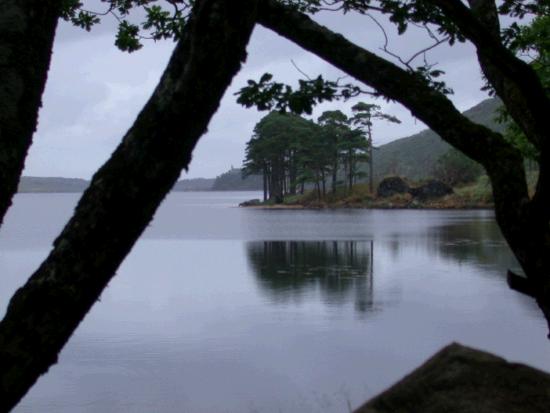 Lake View - Scots Pine and the Castle in the distance