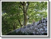 Stone Wall