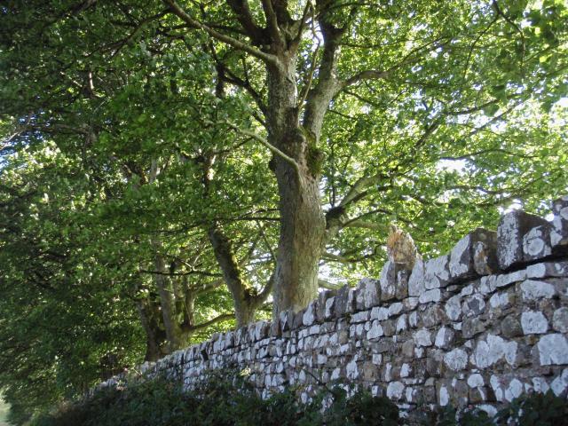 Stone Wall