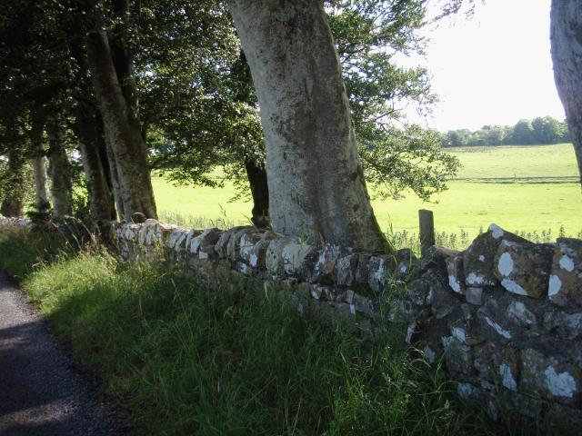 Near Kingsland