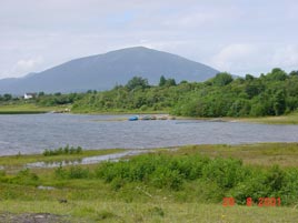 New photos every day from the West of Ireland.