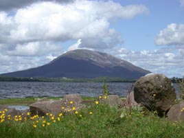 Castlebar County Mayo From The West Of Ireland