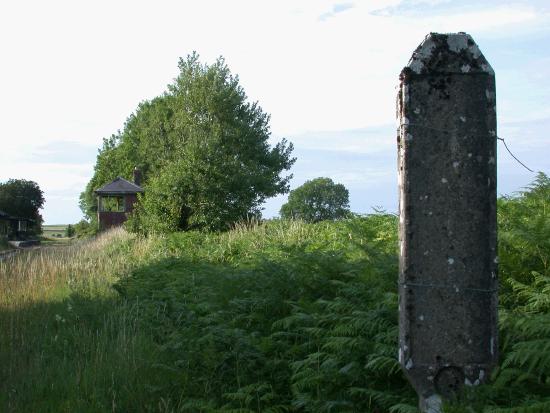 Standing Stone